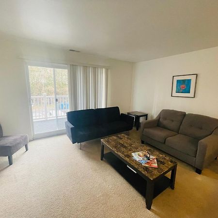 Large, Clean, Comfortable, 1Br Near Einstein Hos Elkins Park Zewnętrze zdjęcie
